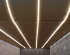 Abgehängte Decke mit geschwungen integrierten LED-Lichtlinien in einem modernen Innenraum.